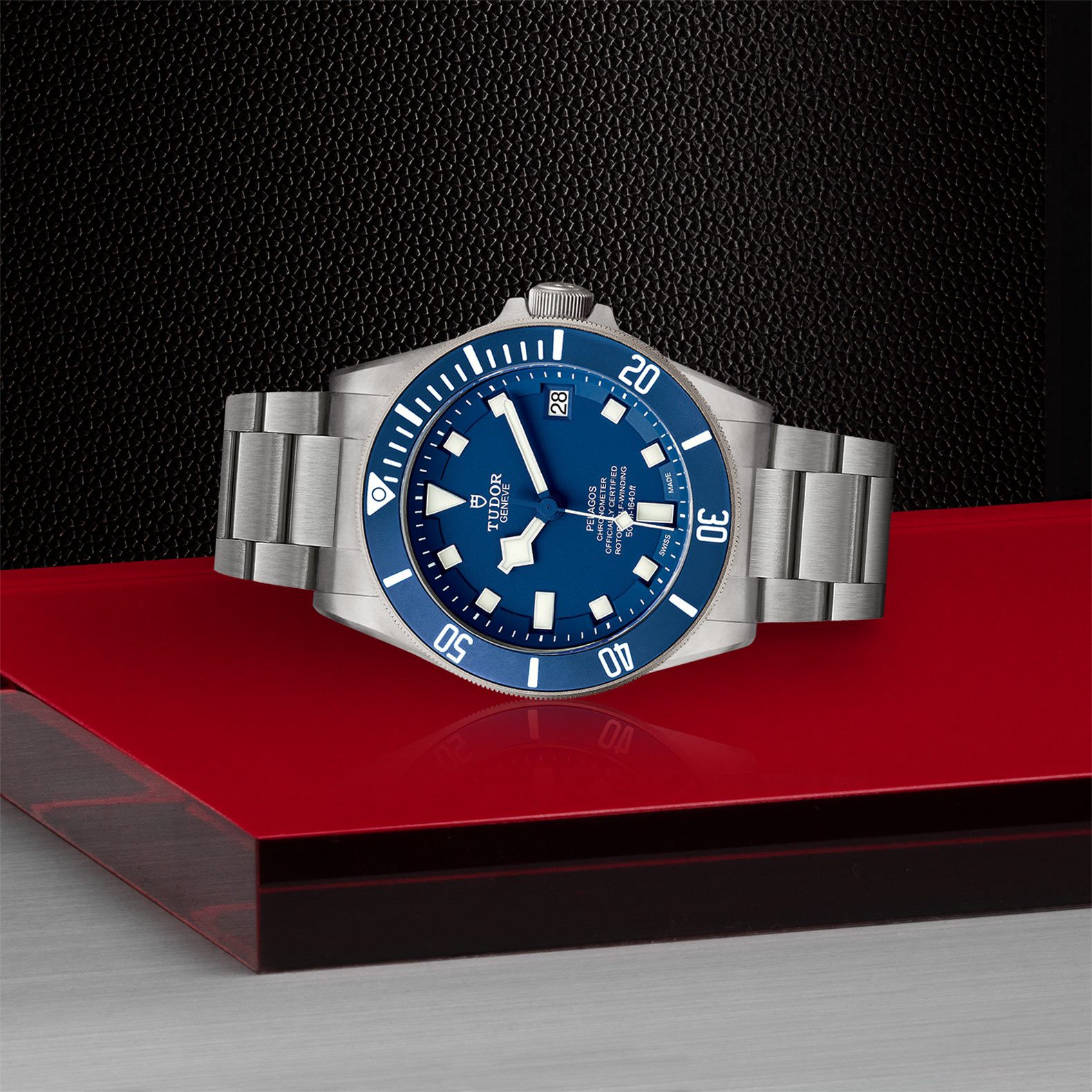 Tudor pelagos shop in house