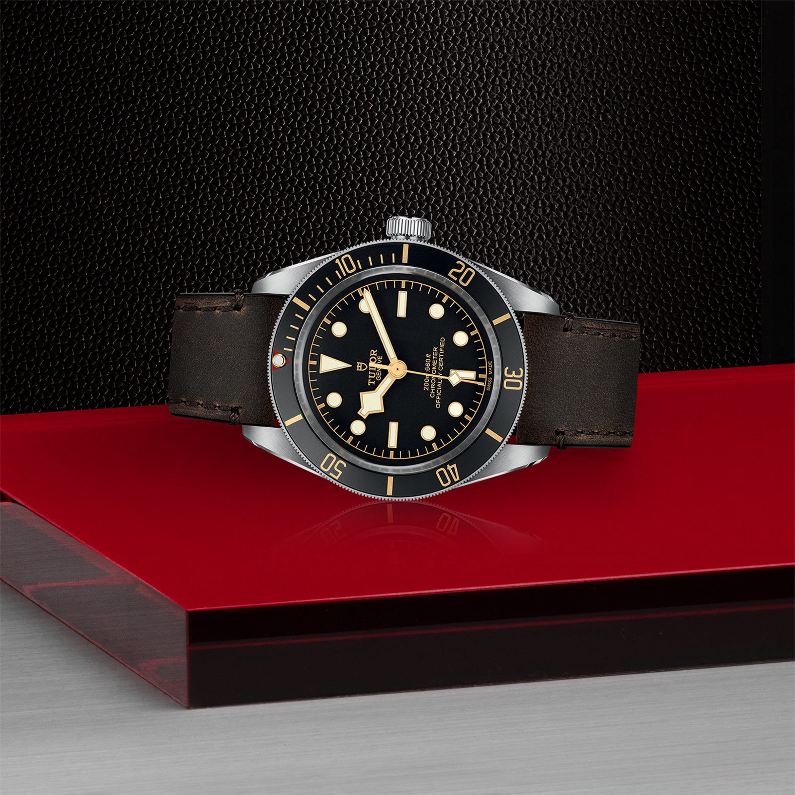 tudor black bay 58 m79030n