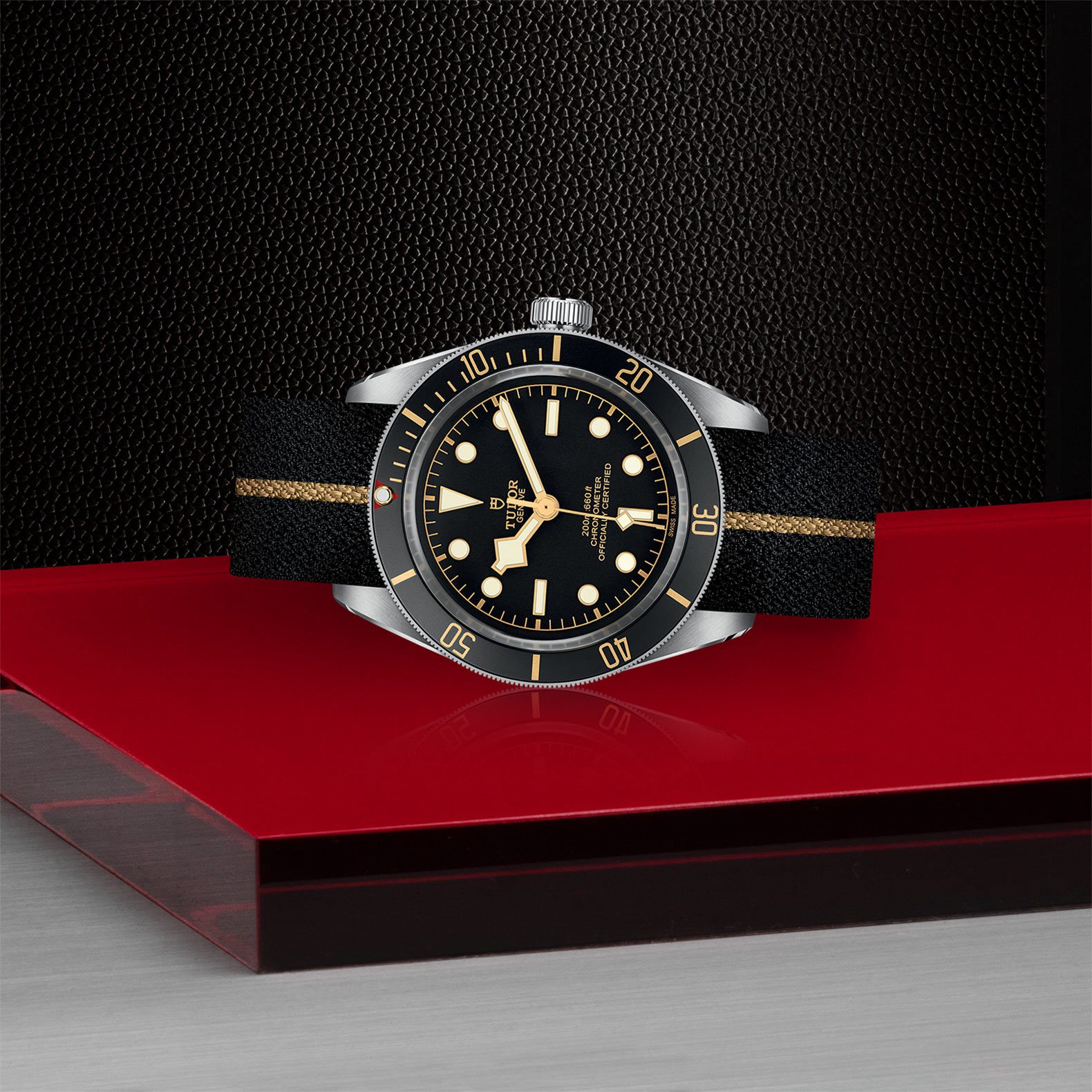 TUDOR Black Bay 58 Automatic 39mm Watch