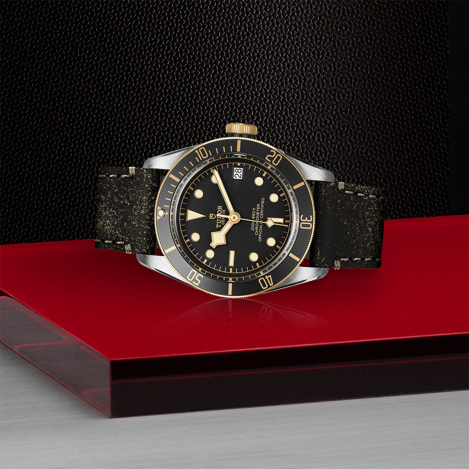 TUDOR Black Bay S&G Automatic 41mm Watch