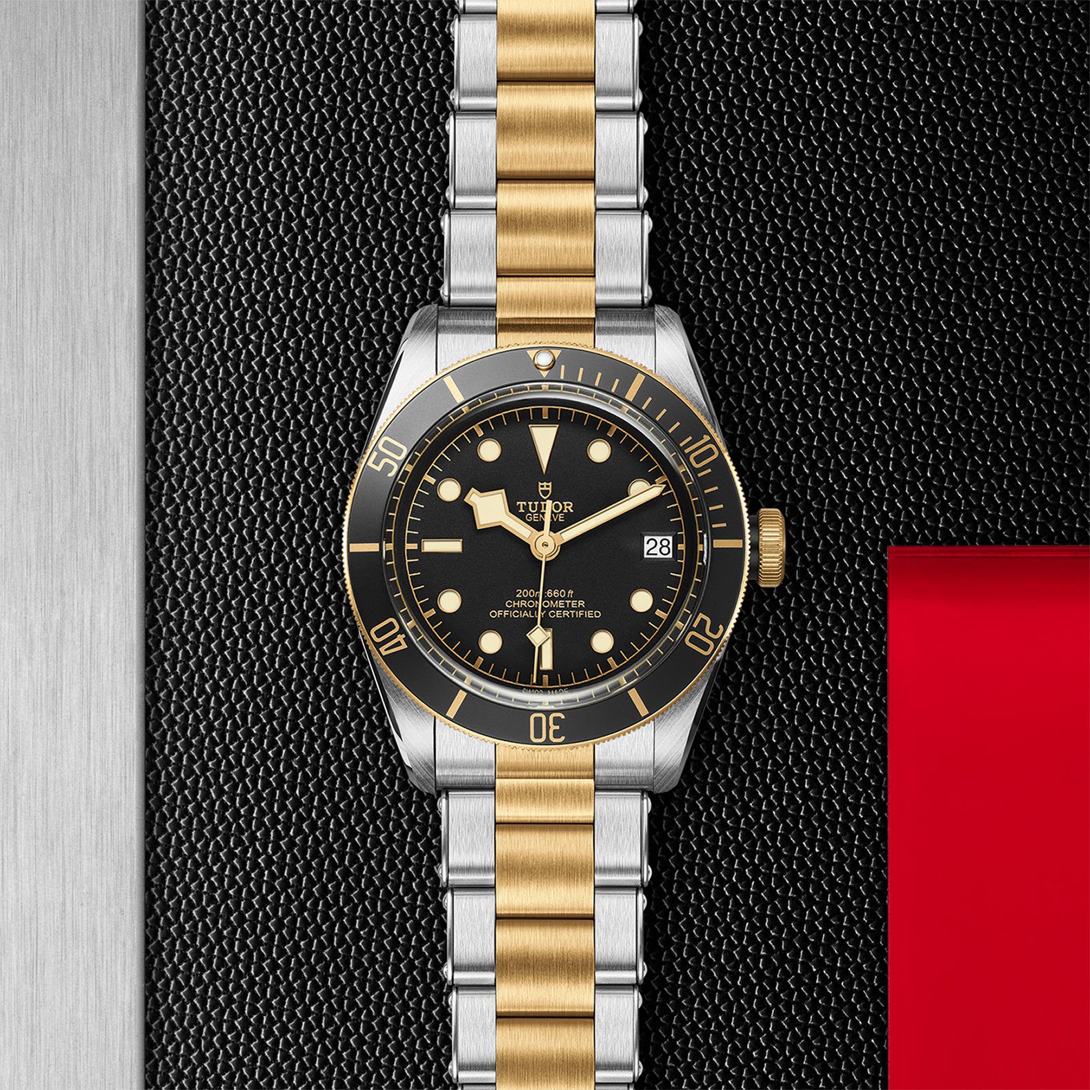 TUDOR Black Bay S&G Automatic 41mm Watch