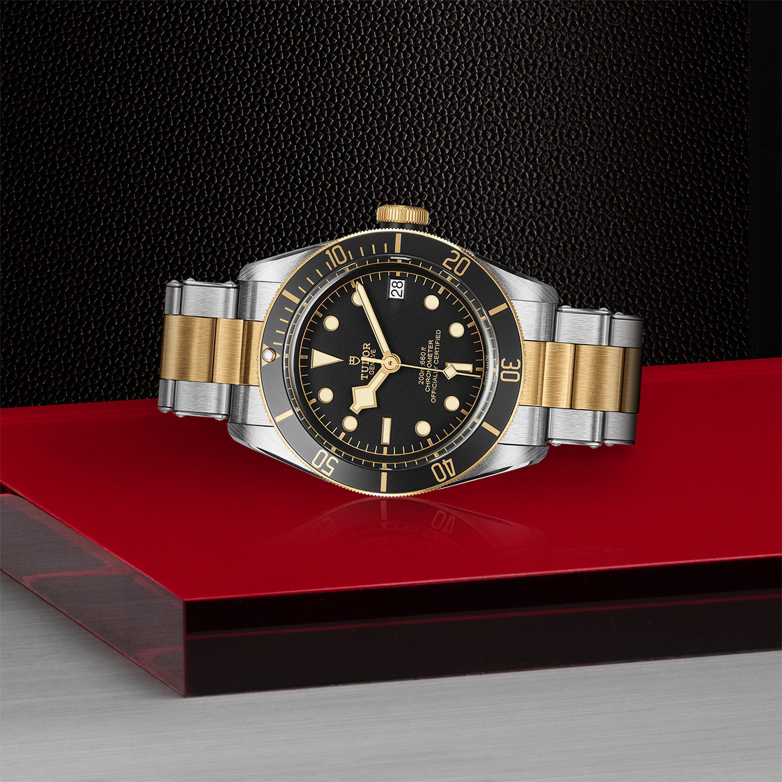 Tudor black shop bay s&g