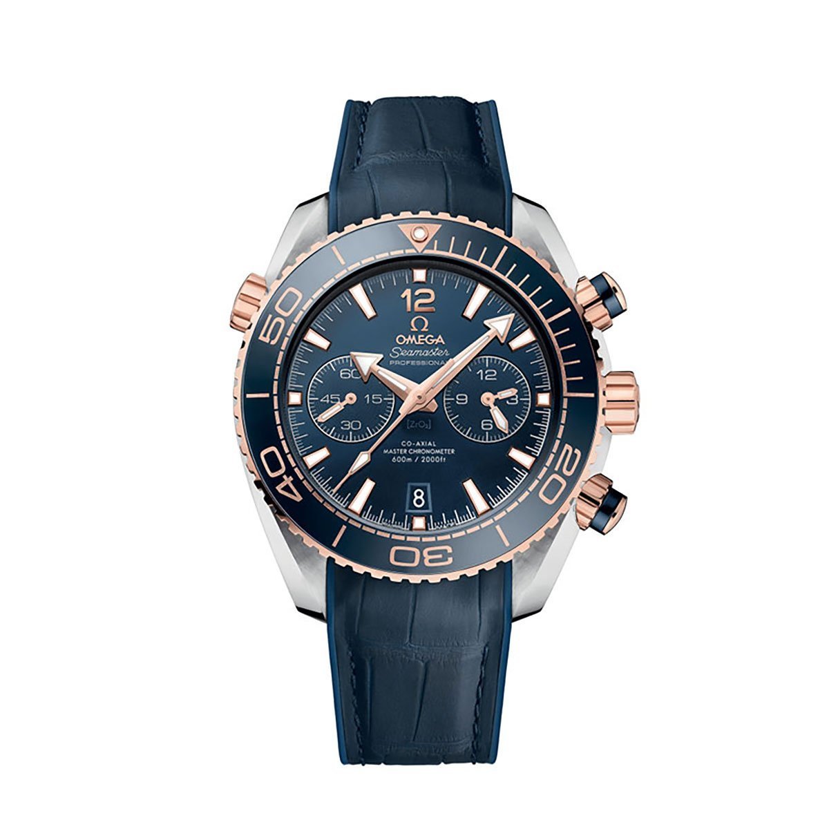 Seamaster Planet Ocean 600M Chronograph 45.5mm Watch