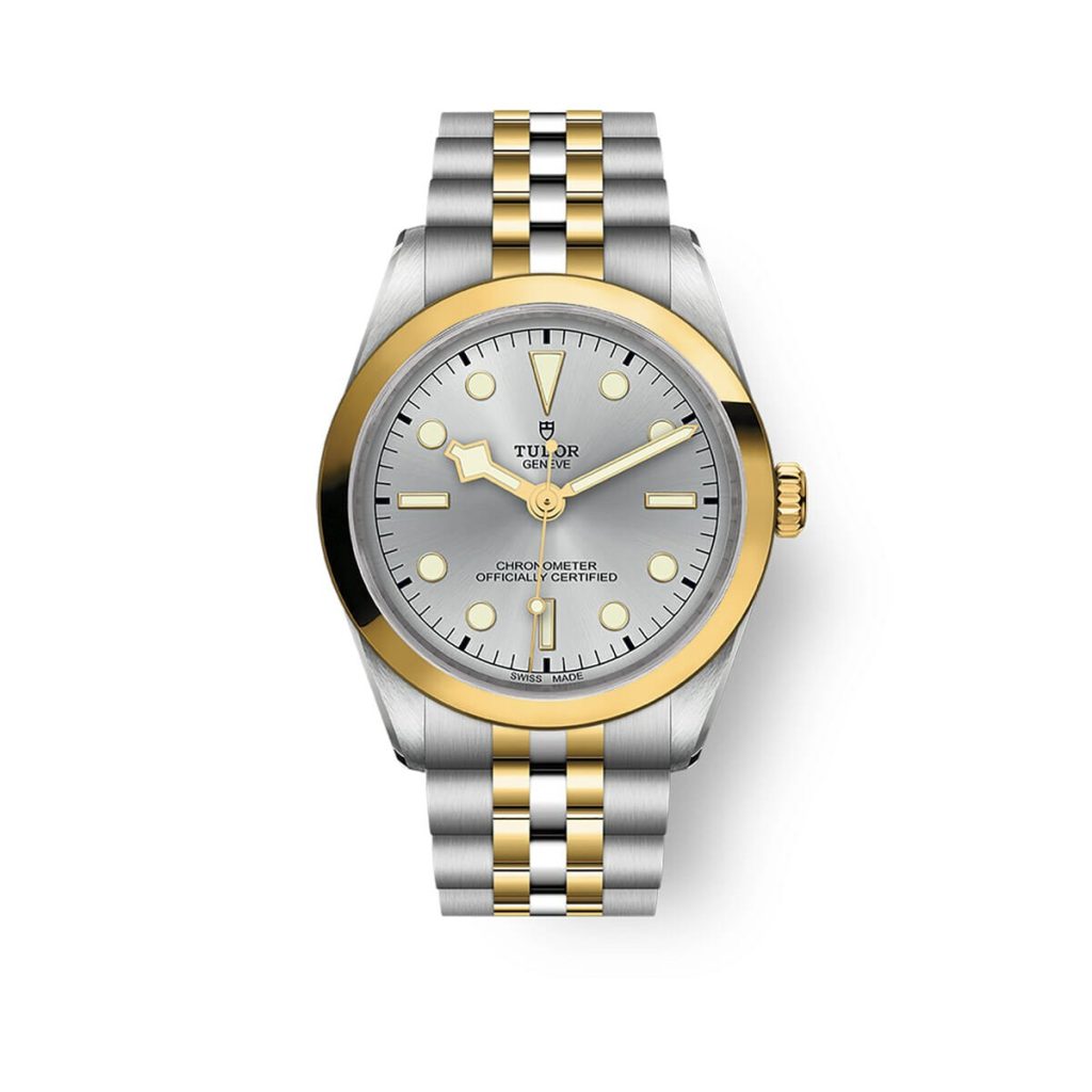 TUDOR Black Bay 36 S&G | M79643-0002 | David M Robinson