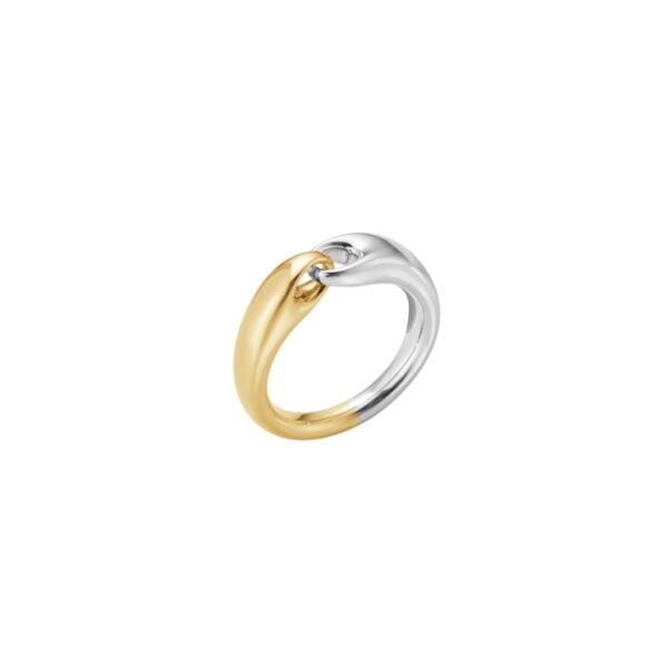 Reflect Silver and Yellow Gold Ring