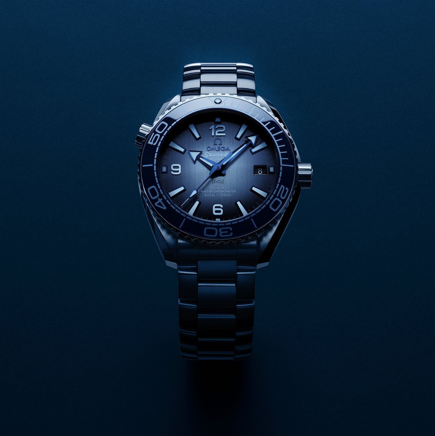 OMEGA PLANET OCEAN 600M CO‑AXIAL MASTER CHRONOMETER 39.5 MM ON WRIST