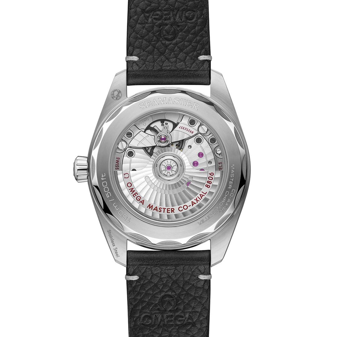 OMEGA Seamaster Railmaster Co-Axial Master Chronometer 38mm Watch