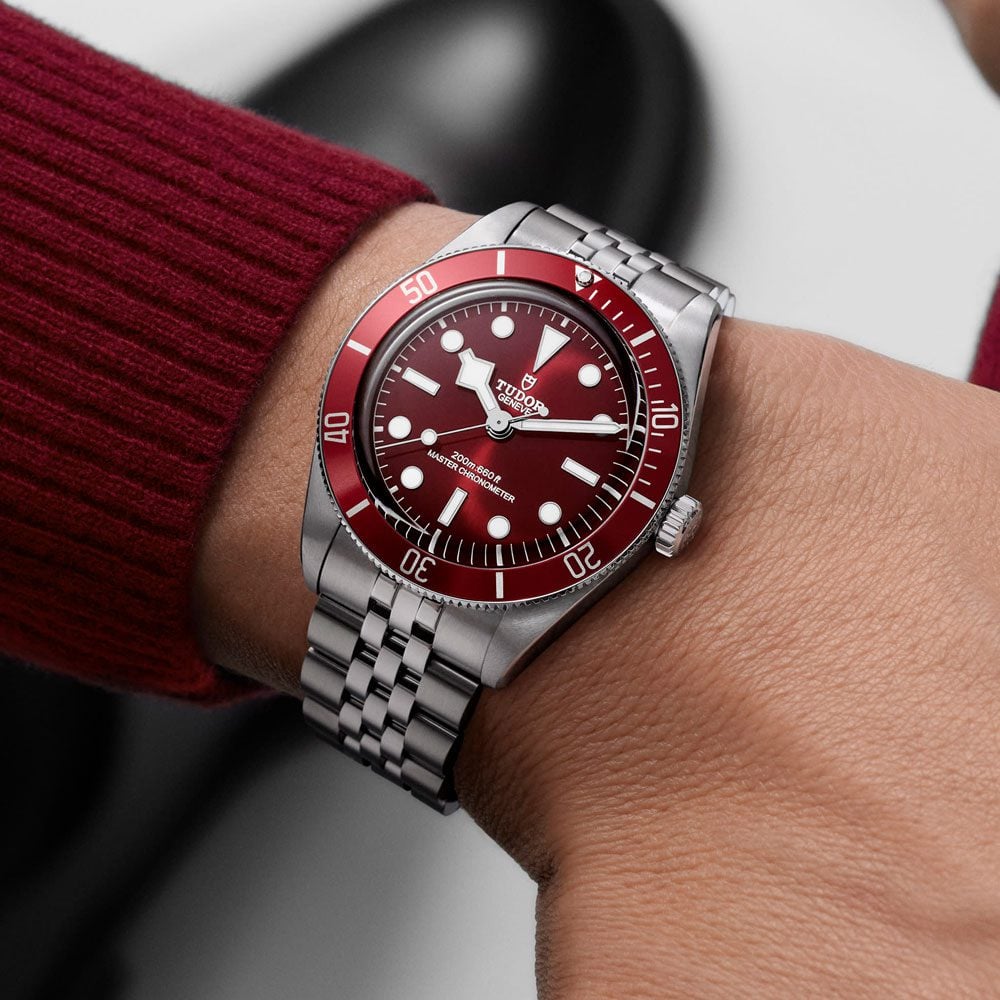 Tudor Black Bay
